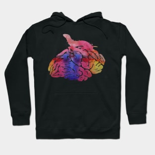 Ferret on brain Hoodie